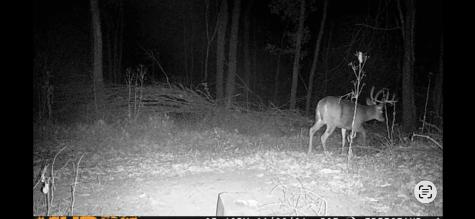 0 Bices Run Road Enterprise WV 26568