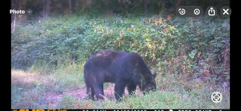 0 Bices Run Road Enterprise WV 26568