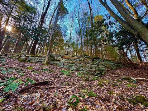 30 Wild Flower Way Albright WV 26519