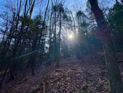 30 Wild Flower Way Albright WV 26519