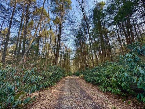 30 Wild Flower Way Albright WV 26519