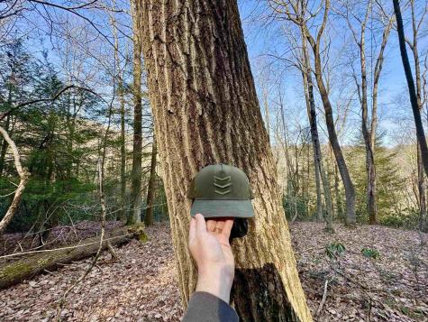 30 Wild Flower Way Albright WV 26519