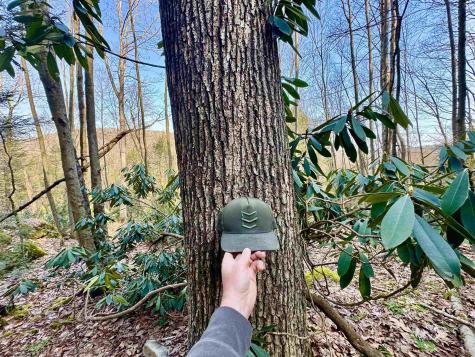 30 Wild Flower Way Albright WV 26519