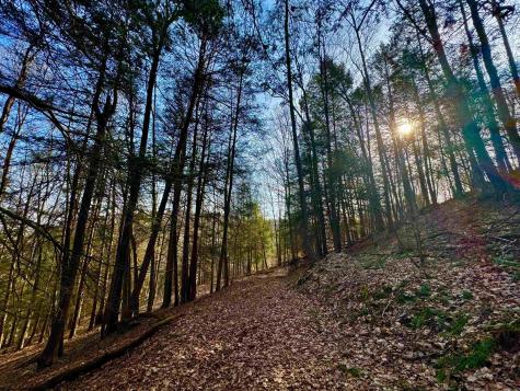 30 Wild Flower Way Albright WV 26519