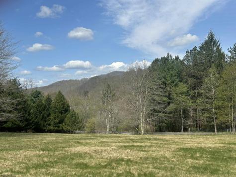 1 Bonner Mountain Road Red Creek WV 26263