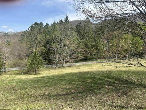 1 Bonner Mountain Road Red Creek WV 26263