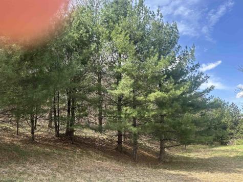 1 Bonner Mountain Road Red Creek WV 26263
