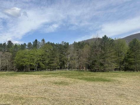 1 Bonner Mountain Road Red Creek WV 26263