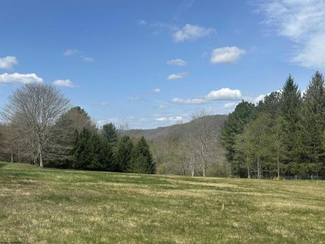 1 Bonner Mountain Road Red Creek WV 26263