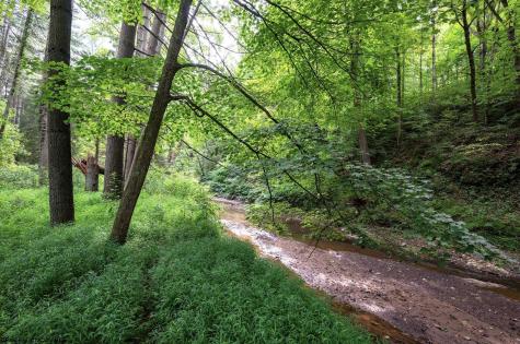 1 Husky Highway Mannington WV 26582