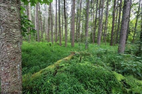 1 Husky Highway Mannington WV 26582