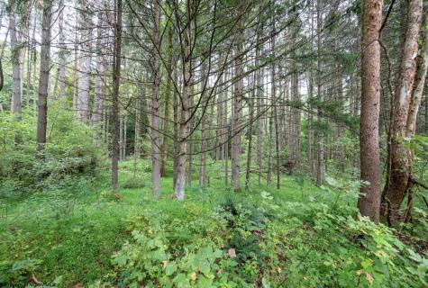 1 Husky Highway Mannington WV 26582