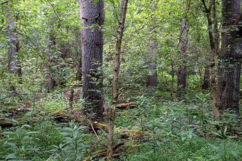 1 Husky Highway Mannington WV 26582