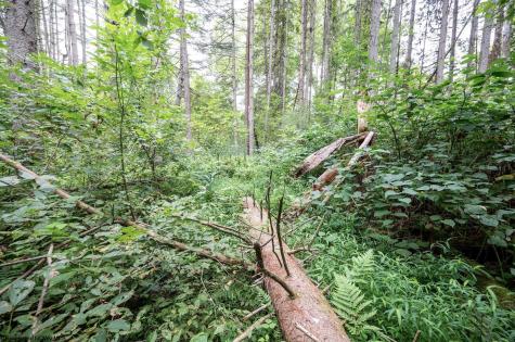 1 Husky Highway Mannington WV 26582