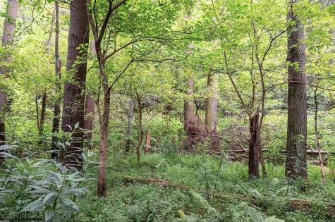 1 Husky Highway Mannington WV 26582