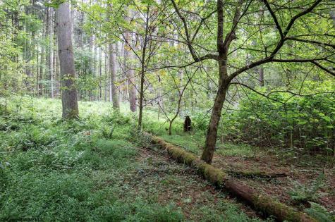 1 Husky Highway Mannington WV 26582