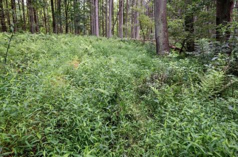 1 Husky Highway Mannington WV 26582
