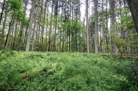 1 Husky Highway Mannington WV 26582