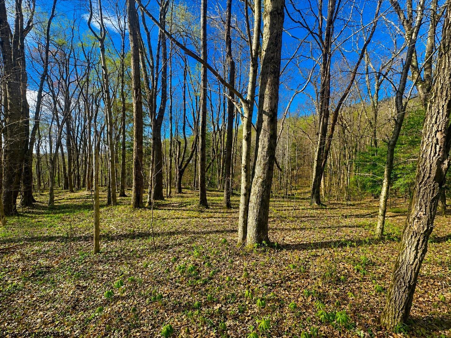 0 Bobolink Drive Terra Alta WV 26764