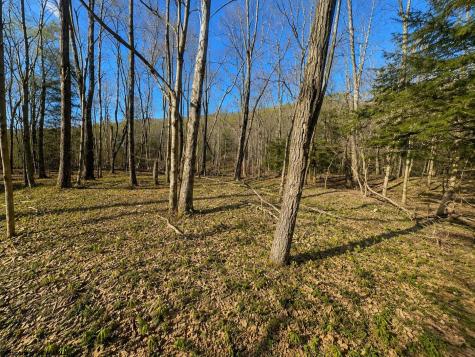 0 Bobolink Drive Terra Alta WV 26764