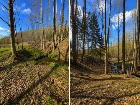 0 Bobolink Drive Terra Alta WV 26764