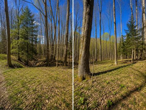 TBD Bobolink Drive Terra Alta WV 26764
