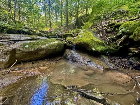 0 John Orr Road Independence WV 26374
