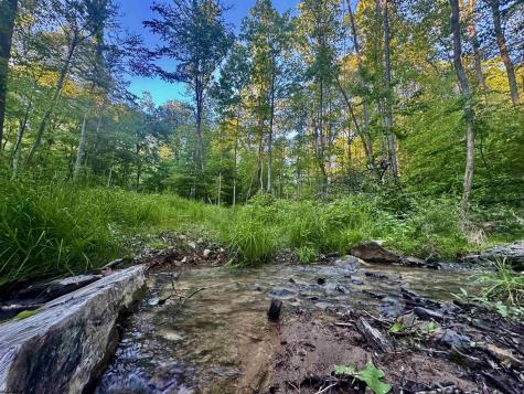 0 John Orr Road Independence WV 26374