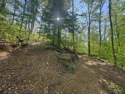 0 John Orr Road Independence WV 26374