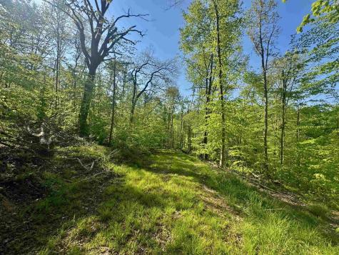0 John Orr Road Independence WV 26374