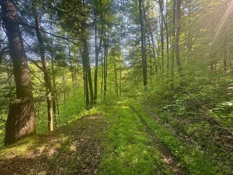 0 John Orr Road Independence WV 26374