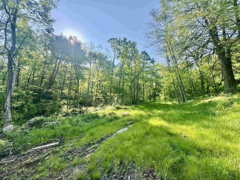 0 John Orr Road Independence WV 26374