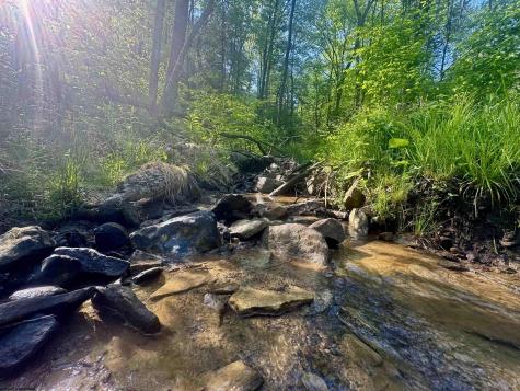 0 John Orr Road Independence WV 26374
