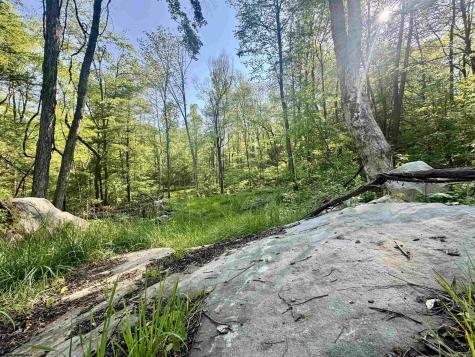 0 John Orr Road Independence WV 26374