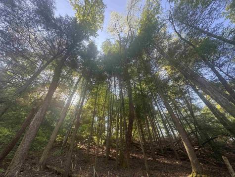 0 John Orr Road Independence WV 26374