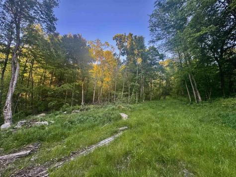 0 John Orr Road Independence WV 26374