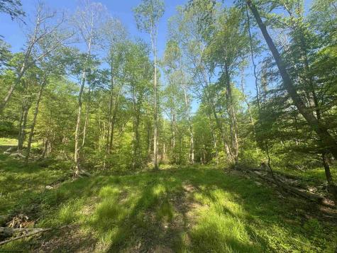 0 John Orr Road Independence WV 26374