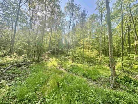 0 John Orr Road Independence WV 26374