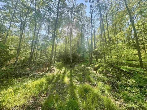 0 John Orr Road Independence WV 26374