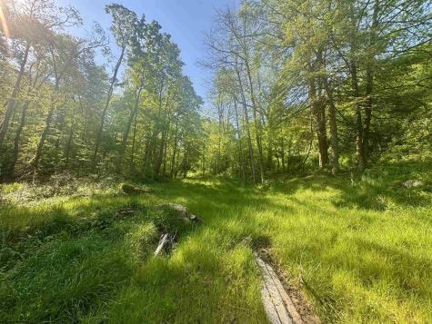 0 John Orr Road Independence WV 26374