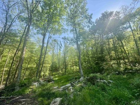 0 John Orr Road Independence WV 26374