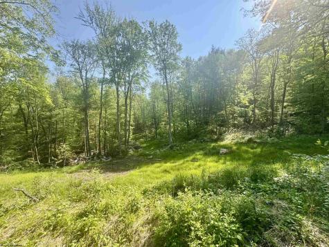 0 John Orr Road Independence WV 26374