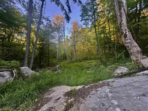 0 John Orr Road Independence WV 26374