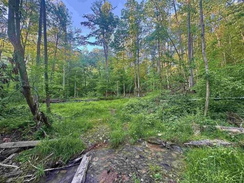 0 John Orr Road Independence WV 26374