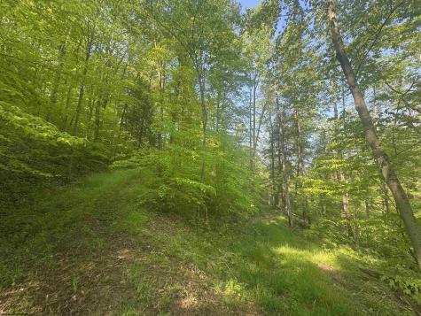 0 John Orr Road Independence WV 26374