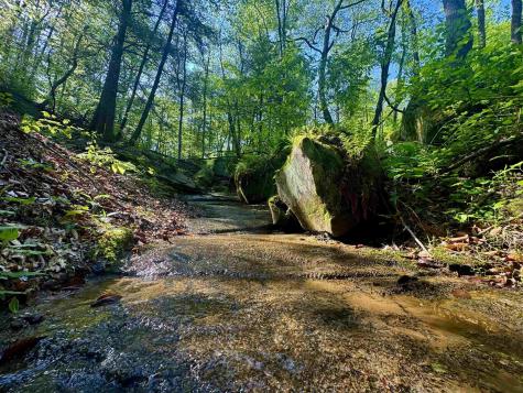 0 John Orr Road Independence WV 26374
