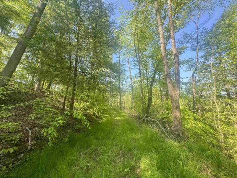 0 John Orr Road Independence WV 26374