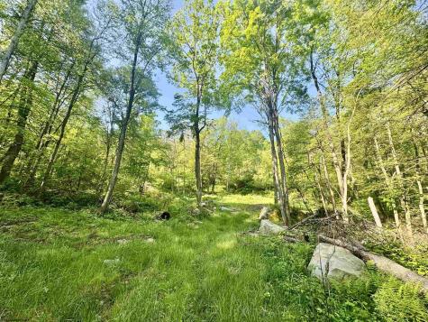 0 John Orr Road Independence WV 26374