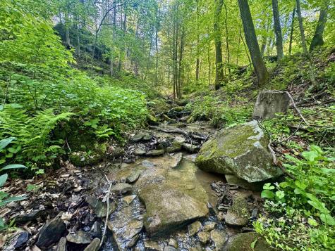 0 John Orr Road Independence WV 26374