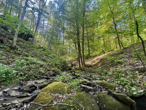 0 John Orr Road Independence WV 26374
